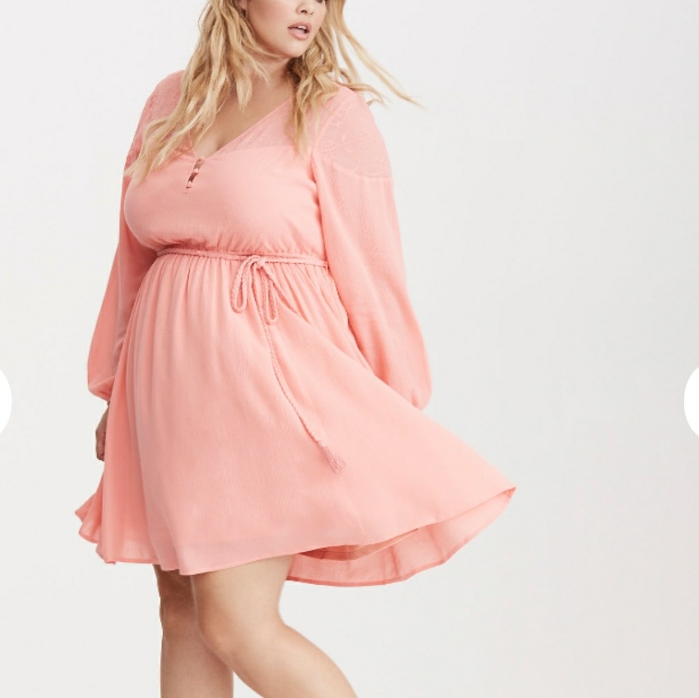 Torrid
Embroidered Mesh Gauze Skater Dress